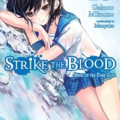 YEN ON Strike The Blood Novel Volume 10