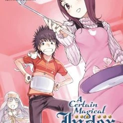 YEN ON A Certain Magical Index Novel Volume 16