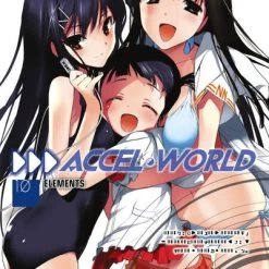 YEN ON Accel World Novel Volume 10