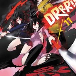 YEN ON Durarara!! Novel Volume 11