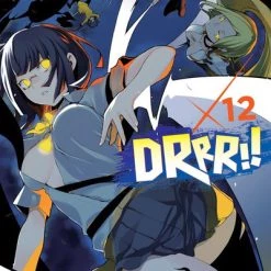 YEN ON Durarara!! Novel Volume 12