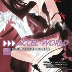YEN ON Accel World Novel Volume 9