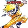 VIZ BOOKS Naruto Chapter Book Volume 8