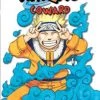VIZ BOOKS Naruto Chapter Book Volume 12