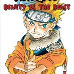 VIZ BOOKS Naruto Chapter Book Volume 13