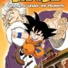 VIZ BOOKS Dragon Ball Chapter Book Volume 10 Strongest Under The Heavens