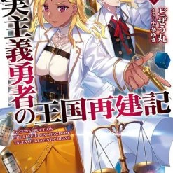 AIRSHIP How A Realist Hero Rebuilt The Kingdom Novel Volume 15