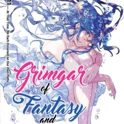 SEVEN SEAS Grimgar Of Fantasy And Ash Novel Volume 11