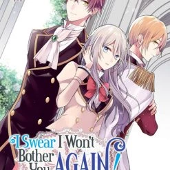 AIRSHIP I Swear I Won't Bother You Again! Novel Volume 2