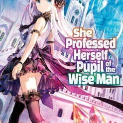 AIRSHIP She Professed Herself Pupil Of The Wise Man Novel Volume 2