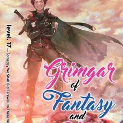 AIRSHIP Grimgar Of Fantasy And Ash Novel Volume 17