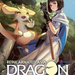 AIRSHIP Reincarnated As A Dragon Hatchling Novel Volume 1