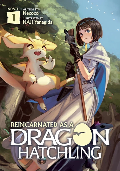 AIRSHIP Reincarnated As A Dragon Hatchling Novel Volume 1 1 AIRSHIP Reincarnated As A Dragon Hatchling Novel Volume 1