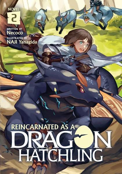 AIRSHIP Reincarnated As A Dragon Hatchling Novel Volume 2 1 AIRSHIP Reincarnated As A Dragon Hatchling Novel Volume 2