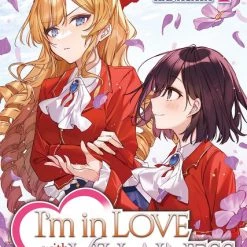 AIRSHIP I'm In Love With The Villainess She's So Cheeky For A Commoner Novel Volume 1