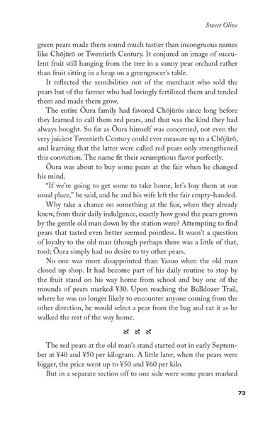 STONE BRIDGE PRESS Evening Clouds Novel 3 STONE BRIDGE PRESS Evening Clouds Novel - Image 3