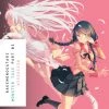 VERTICAL Bakemonogatari Novel Volume 3