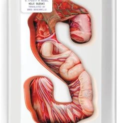 VERTICAL S:Es Novel (Hardcover)