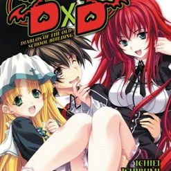 YEN ON High School DxD Novel Volume 1
