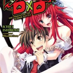 YEN ON High School DxD Novel Volume 2