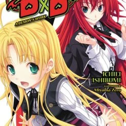 YEN ON High School DxD Novel Volume 8
