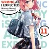 YEN ON My Youth Romantic Comedy Is Wrong As I Expected Novel Volume 11