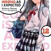 YEN ON My Youth Romantic Comedy Is Wrong As I Expected Novel Volume 12