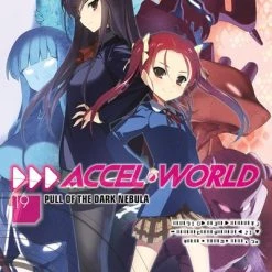 YEN ON Accel World Novel Volume 19