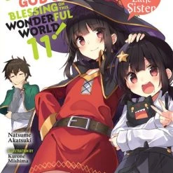 YEN ON Konosuba God's Blessing On This Wonderful World Novel Volume 11