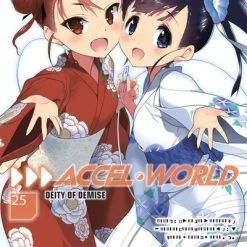 YEN ON Accel World Novel Volume 25