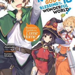 YEN ON Konosuba God's Blessing On This Wonderful World Novel Volume 16