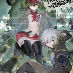 YEN ON Is It Wrong To Try To Pick Up Girls In A Dungeon? Novel Volume 12