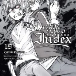 YEN ON A Certain Magical Index Novel Volume 19