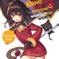 YEN ON Konosuba God's Blessing On This Wonderful World Novel Volume 9